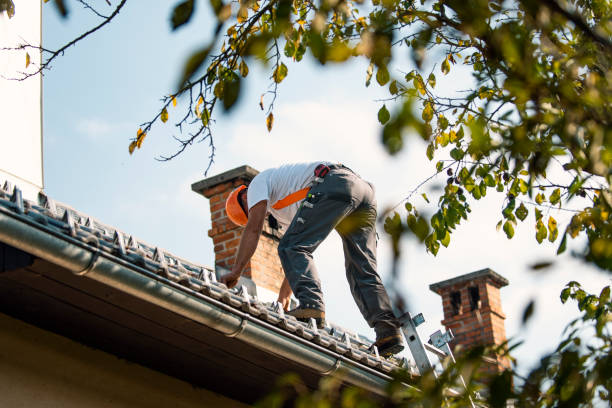 Best Best Roofing Contractors  in Vandercook Lake, MI