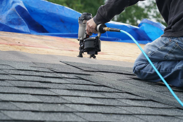 Best Metal Roofing Contractor  in Vandercook Lake, MI