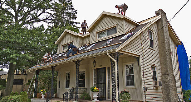 Sealant for Roof in Vandercook Lake, MI