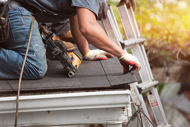 Best Flat Roof Repair Services  in Vandercook Lake, MI