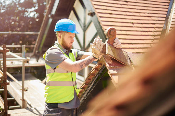 Best Roof Maintenance Services  in Vandercook Lake, MI