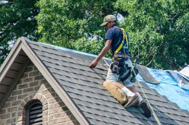 Best Local Roofing Companies  in Vandercook Lake, MI